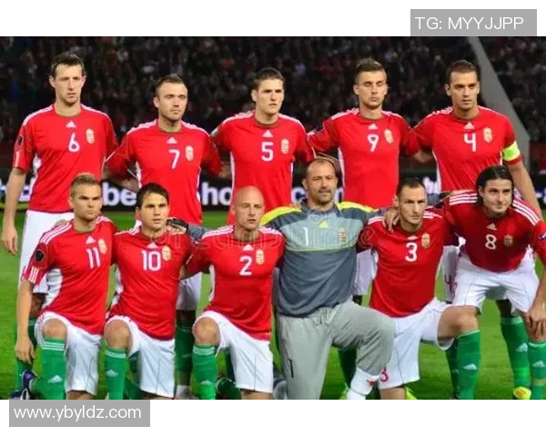 匈牙利足球明星回顾与未来展望 揭秘球员成就与国家队崛起历程